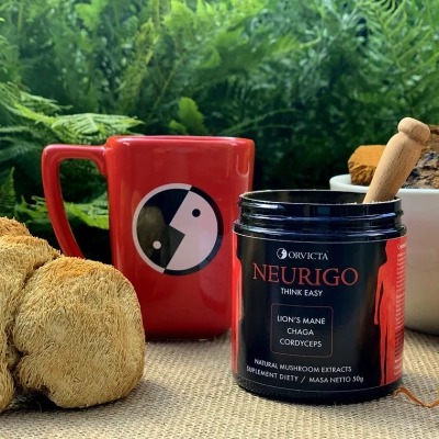 Neurigo - (Lion's Mane, Chaga, Cordyceps)