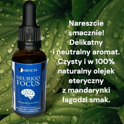 Neurigo Focus - (Lion's Mane + Ashwagandha)